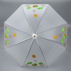 Зонт - трость полуавтоматический «Фрукты», 8 спиц, R = 45 см, рисунок МИКС - Фото 9