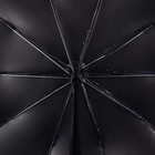 Зонт механический «Точки», эпонж, 4 сложения, 10 спиц, R = 53 см, цвет МИКС - фото 9311647