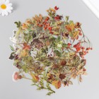 Наклейки для творчества пластик PVC "Осенний сад" набор 40 шт 9х10.5 см - фото 23750116