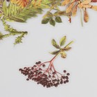 Наклейки для творчества пластик PVC "Осенний сад" набор 40 шт 9х10.5 см - фото 23750117