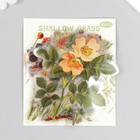 Наклейки для творчества пластик PVC "Осенний сад" набор 40 шт 9х10.5 см - фото 23750119