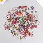 Наклейки для творчества пластик PVC "Флора" набор 40 шт 9х10.5 см - фото 23750121