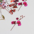 Наклейки для творчества пластик PVC "Флора" набор 40 шт 9х10.5 см - фото 23750122