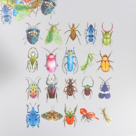Наклейки для творчества пластик PVC "Яркие насекомые" набор 40 шт 9х10.5 см