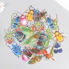 Наклейки для творчества пластик PVC "Яркие насекомые" набор 40 шт 9х10.5 см - фото 23750126