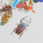 Наклейки для творчества пластик PVC "Яркие насекомые" набор 40 шт 9х10.5 см - фото 23750127