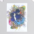 Наклейки для творчества пластик PVC "Яркие насекомые" набор 40 шт 9х10.5 см - фото 23750129