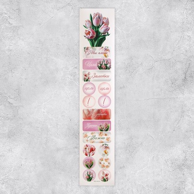 Бумажные наклейки для ежедневника «Тюльпаны», 4 × 23 см
