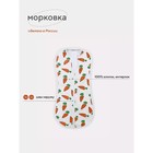 Пелёнка кокон на молнии Топотушки «Морковка», рост 56 см - фото 110729592