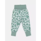 Комплект одежды детский Rant Milk-Aholic, 2 предмета: штанишки, футболка, рост 62 см, цвет зелёный - Фото 5