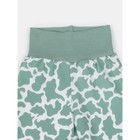 Комплект одежды детский Rant Milk-Aholic, 2 предмета: штанишки, футболка, рост 68 см, цвет зелёный - Фото 6