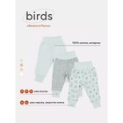 Набор детских штанишек MOWbaby Birds, рост 80 см, цвет голубой, 3 шт - фото 110730896