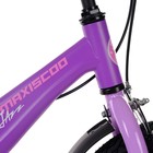 Велосипед 14'' Maxiscoo JAZZ Стандарт Плюс, цвет Фиолетовый Матовый - Фото 5