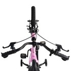 Велосипед 14'' Maxiscoo COSMIC Стандарт Плюс, цвет Розовый Матовый - Фото 6