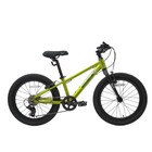 Велосипед 20'' Maxiscoo 5BIKE, цвет Фреш Лайм, размер M - фото 110016122