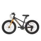 Велосипед 20'' Maxiscoo 5BIKE, цвет Черный Матовый, размер M - Фото 3