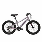 Велосипед 20'' Maxiscoo 5BIKE, цвет Розовый Сапфир, размер L - фото 110016136