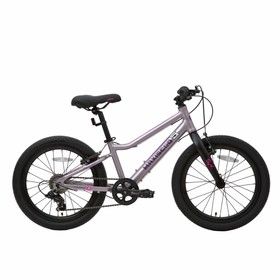 Велосипед 20'' Maxiscoo 5Bike, цвет розовый сапфир, размер L