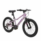 Велосипед 20'' Maxiscoo 5Bike, цвет розовый сапфир, размер L - Фото 2
