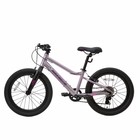 Велосипед 20'' Maxiscoo 5Bike, цвет розовый сапфир, размер L - Фото 3