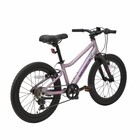 Велосипед 20'' Maxiscoo 5Bike, цвет розовый сапфир, размер L - Фото 4