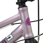 Велосипед 20'' Maxiscoo 5Bike, цвет розовый сапфир, размер L - Фото 5