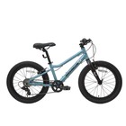 Велосипед 20'' Maxiscoo 5BIKE, цвет Аквамарин, размер L - фото 110016144