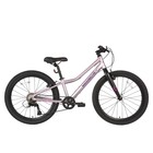 Велосипед 24'' Maxiscoo 5BIKE, цвет Розовый Сапфир, размер L - фото 299151737