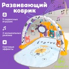 Развивающий коврик «Лёвушка», световые, звуковые эффекты - Фото 1