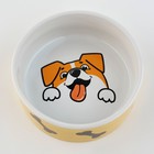 Миска керамическая «Веселый пес», 300 мл, для собак - Фото 3