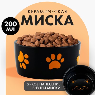 Миска керамическая «Веселый котик», 200 мл, для кошек