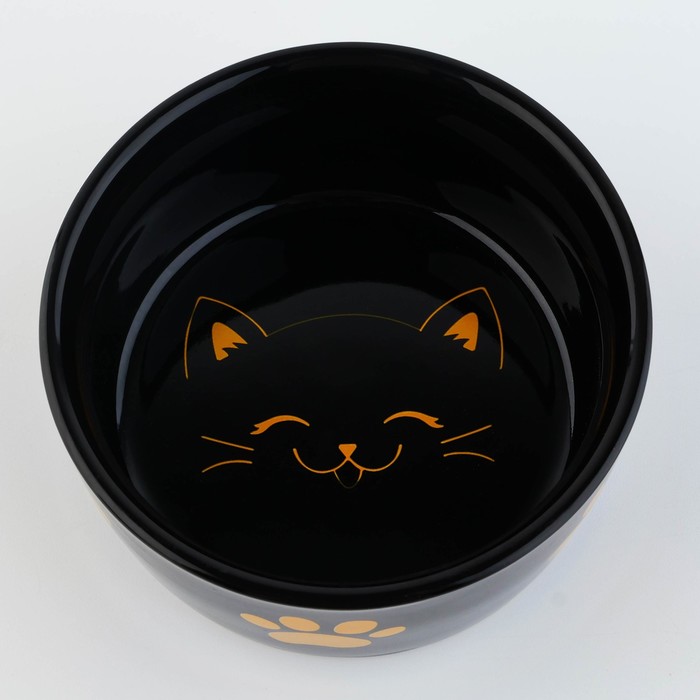 Миска керамическая «Веселый котик», 200 мл, для кошек