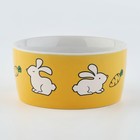 Миска керамическая «Пушистый кролик», 200 мл, для грызунов - фото 9298015
