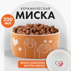 Миска керамическая «Лапки», 200 мл, для кошек и собак - фото 20510114