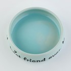 Миска керамическая Best friend, 80 мл, для грызунов (комплект 2 шт) - фото 25592499