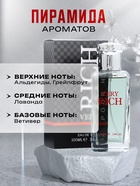 Туалетная вода мужская Very Rich, 100 мл - Фото 2