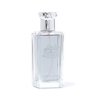 Туалетная вода мужская Scenery, 100 мл - фото 23770805