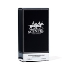 Туалетная вода мужская Scenery, 100 мл - фото 32206048