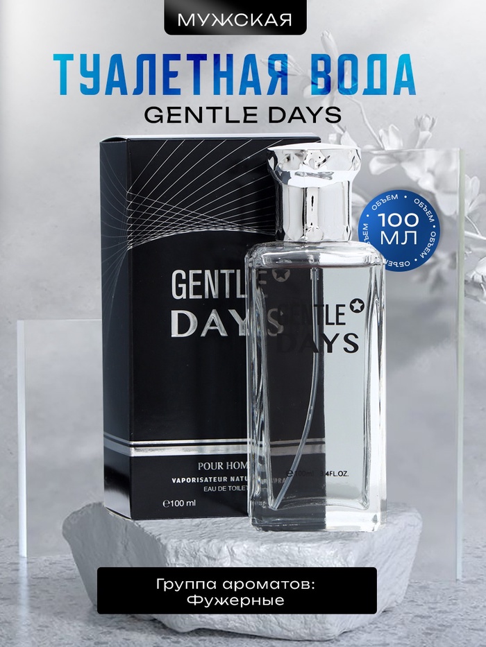

Туалетная вода мужская Gentle Days, 100 мл