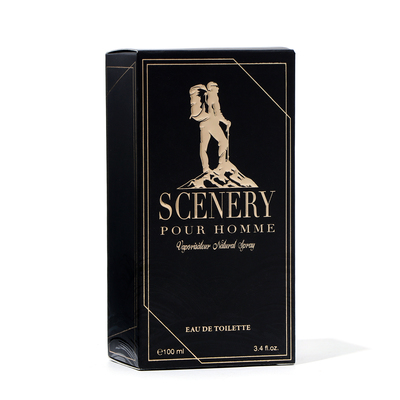 Туалетная вода мужская Scenery, 100 мл