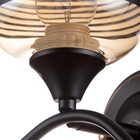 Бра "Вита" 1х60Вт Цоколь: Е27 Цвет: черный, золото 21х15,5х16см - фото 23872534