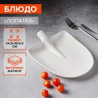 УЦЕНКА Блюдо фарфоровое Magistro «Бланш», 24×18×4,5 см, цвет белый - Фото 1