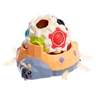 УЦЕНКА Развивающий набор «Массажный жук» - Фото 2