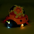 УЦЕНКА Развивающий набор «Массажный жук» - Фото 10