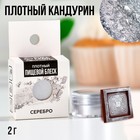 Кандурин плотный «Серебро» для шоколада, куличей, капкейков и пасхальных яиц, 2 г. - фото 321171665