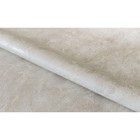 Обои виниловые горячего тиснения на флизелине Neptune 70508-22 - фото 23764896