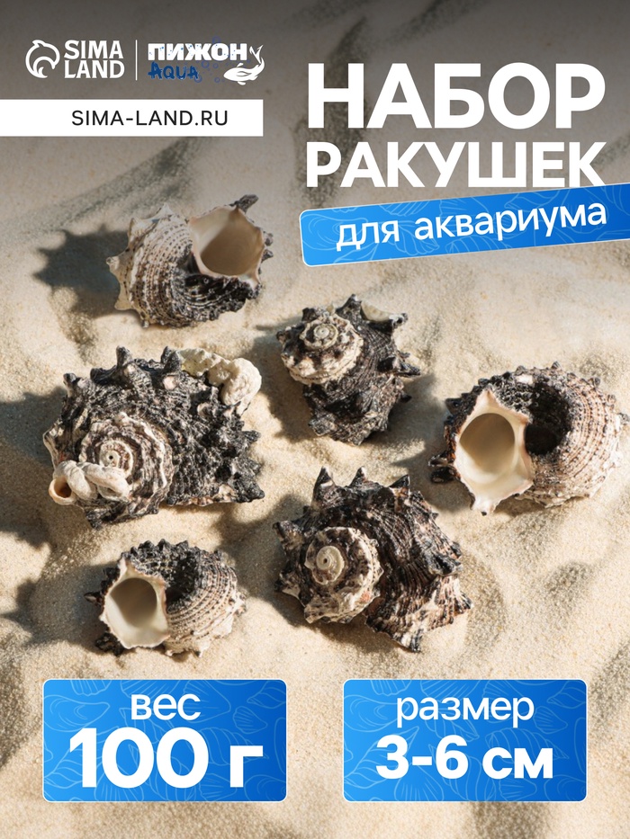 Набор ракушек с перламутром, 3 - 6 см, 100 г - Фото 1