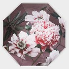 Зонт механический «Флора», эпонж, 4 сложения, 8 спиц, R = 48 см, цвет МИКС - Фото 13