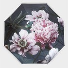 Зонт механический «Флора», эпонж, 4 сложения, 8 спиц, R = 48 см, цвет МИКС - Фото 14