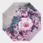 Зонт механический «Вдохновение», эпонж, 4 сложения, 8 спиц, R = 48 см, цвет МИКС - Фото 13
